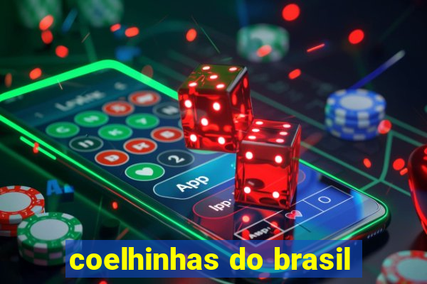 coelhinhas do brasil